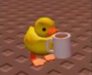 Duck coffee.jpg