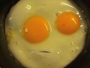 Egg thumbnail.jpg